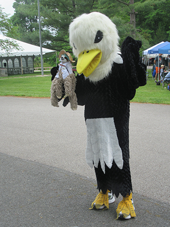 A giant bald eagle med