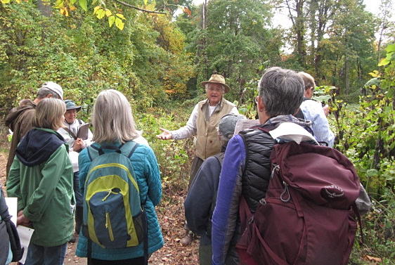 Alan Ford fall colors walk GB