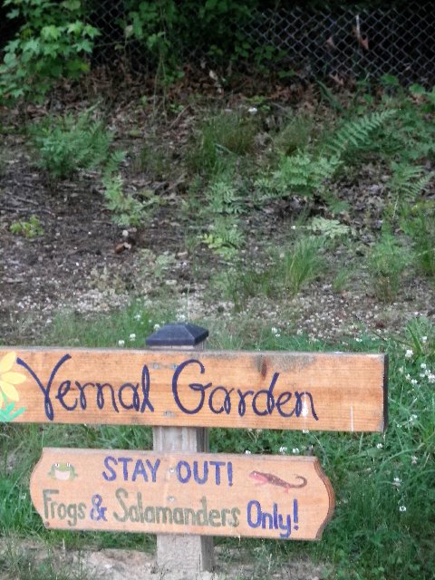 Vernal Garden