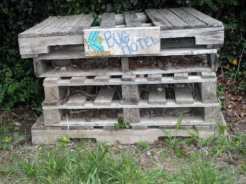 Bug hotel