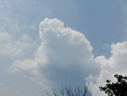 Cumulus clouds