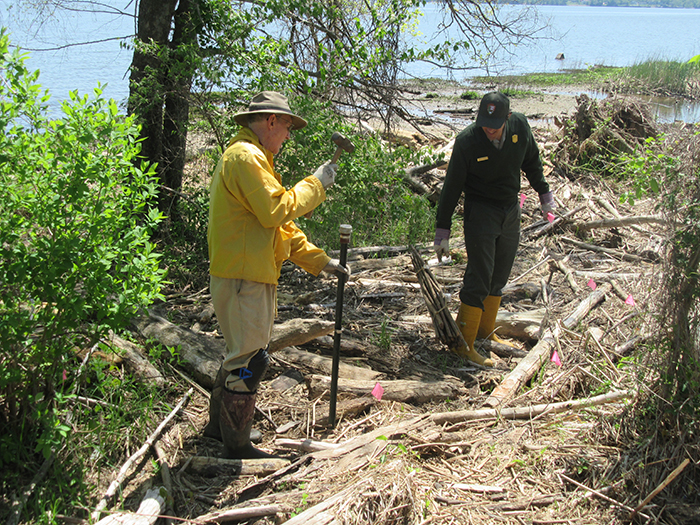 Jim Gearing and Jonathan Molineaux NPS Partner Coordinator teamed up to plant trees 700