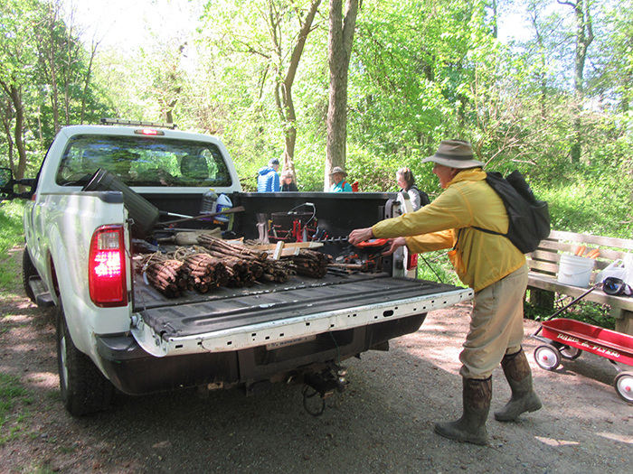 Jim Gearing the projects leader loaded the black willow stakes into the National Park Services truck 700