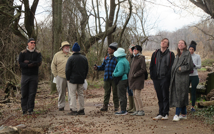 Near_the_walks_end_a_bald_eagle_got_the_groups_attention_when_it_landed_in_a_tree_on_the_trail-2-700.jpg