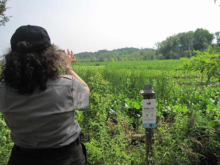 Superintendent_Madello_took_a_photo_of_the_wetlands_lush_vegetation-700.jpg