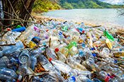 Plastic Bottles Plastic Bottles