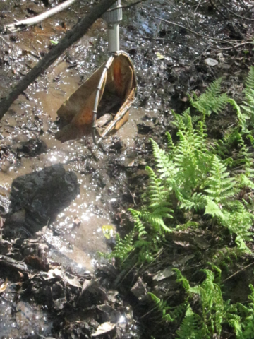 Volunteers scooped up wet sediments from the creek2