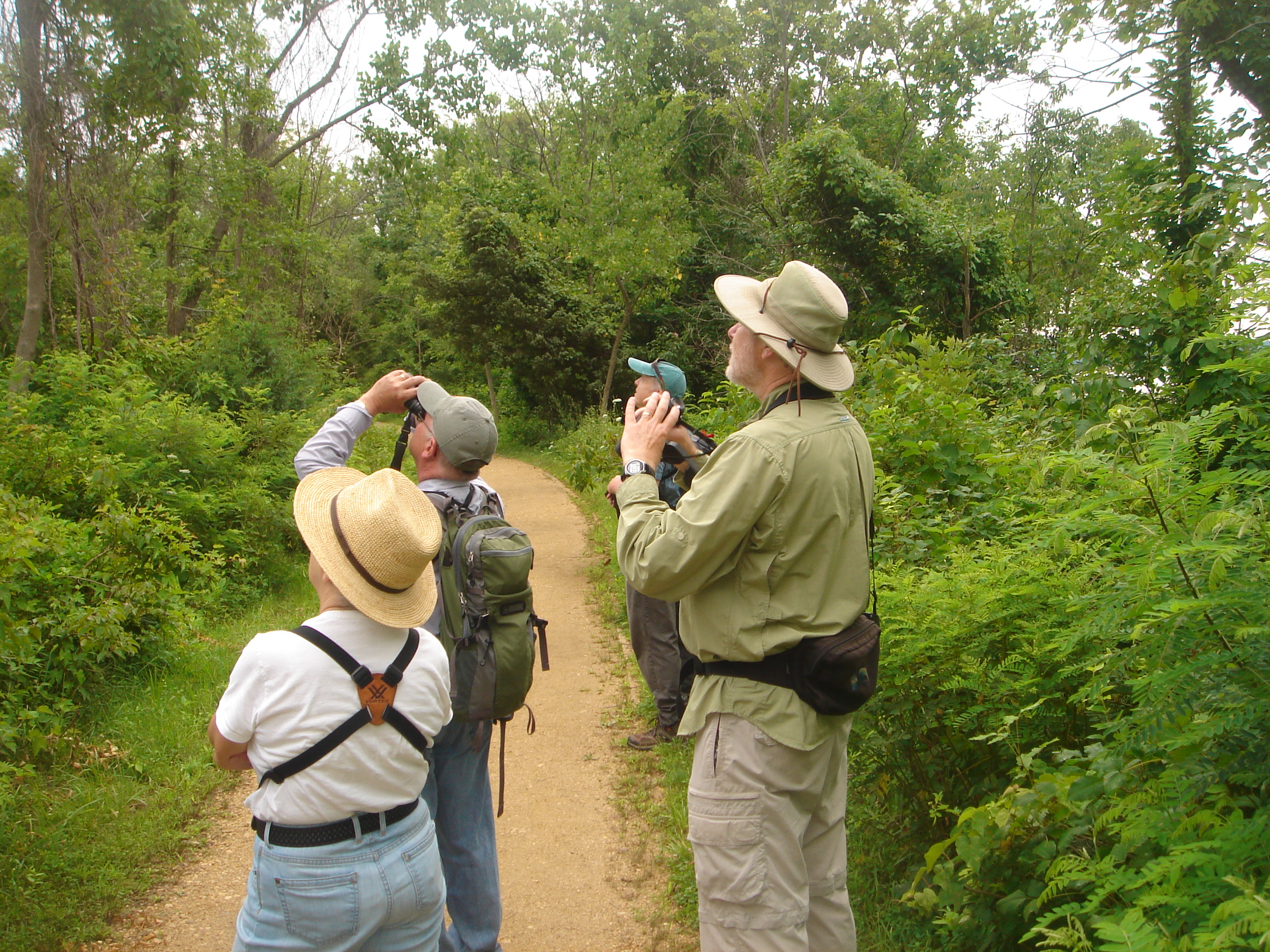 Bird Walks