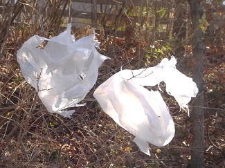 Plastic bags