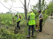 Planting trees Planting trees