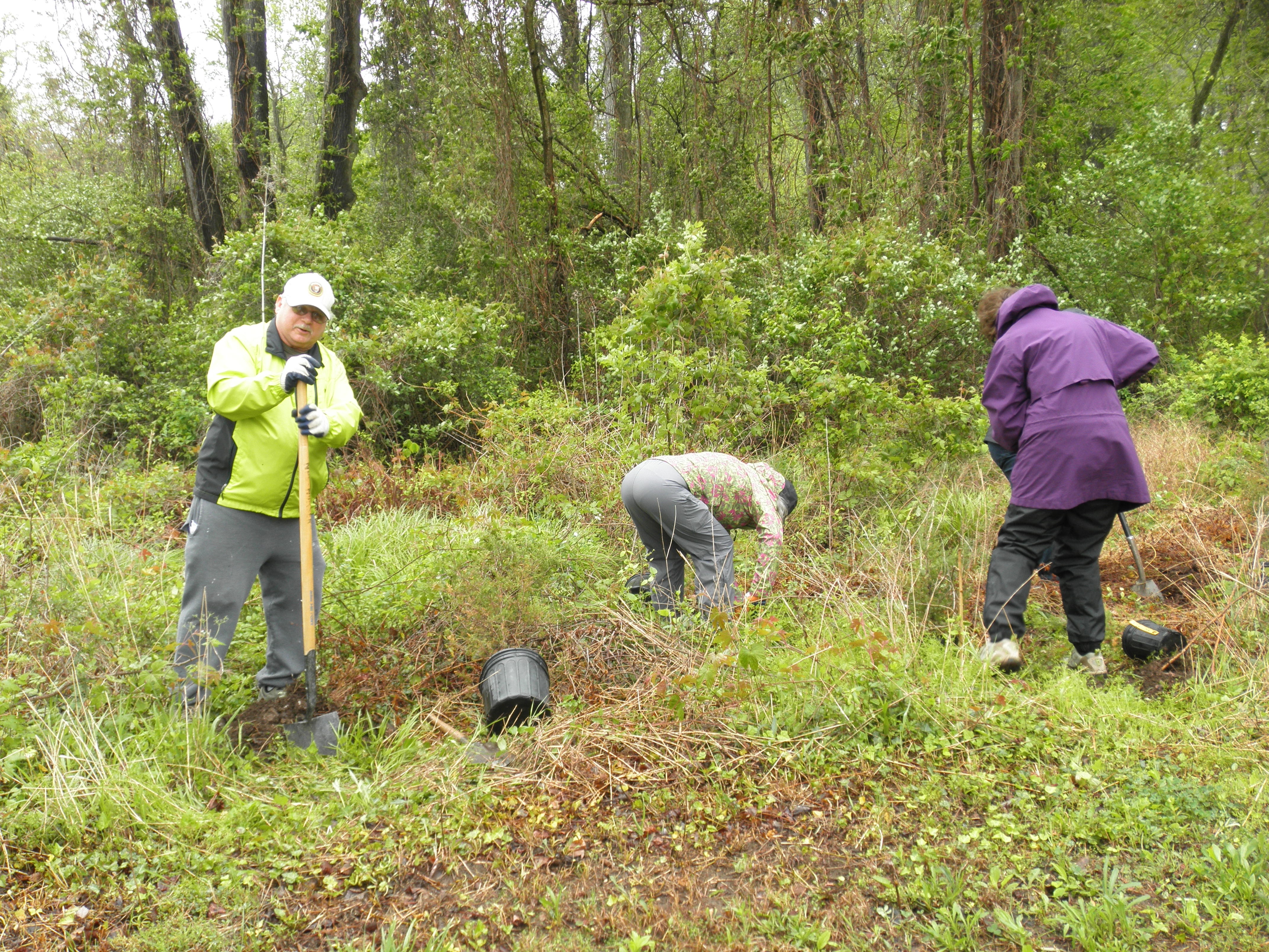 Digging holes