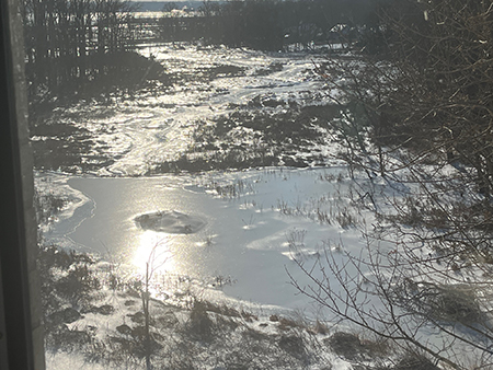 Dyke Marsh Glistens in the Snowy Winter of 2026