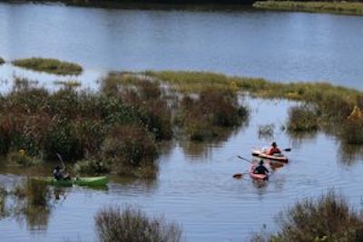 kayaks