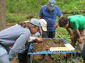 water testing photo