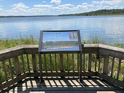 Saving Dyke Marsh:  New Wayside Explains Project